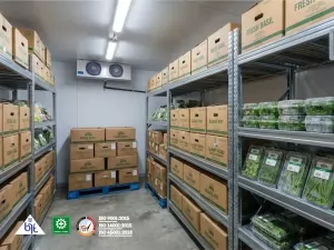 Warehouse Cold Storage: Teknologi untuk Menjamin Kesegaran Bahan Herbal dan Produk Organik